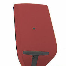 Ergonomic - back rest