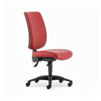 Ergonomic Backcare Chair