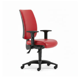 Ergonomic Backcare Chair