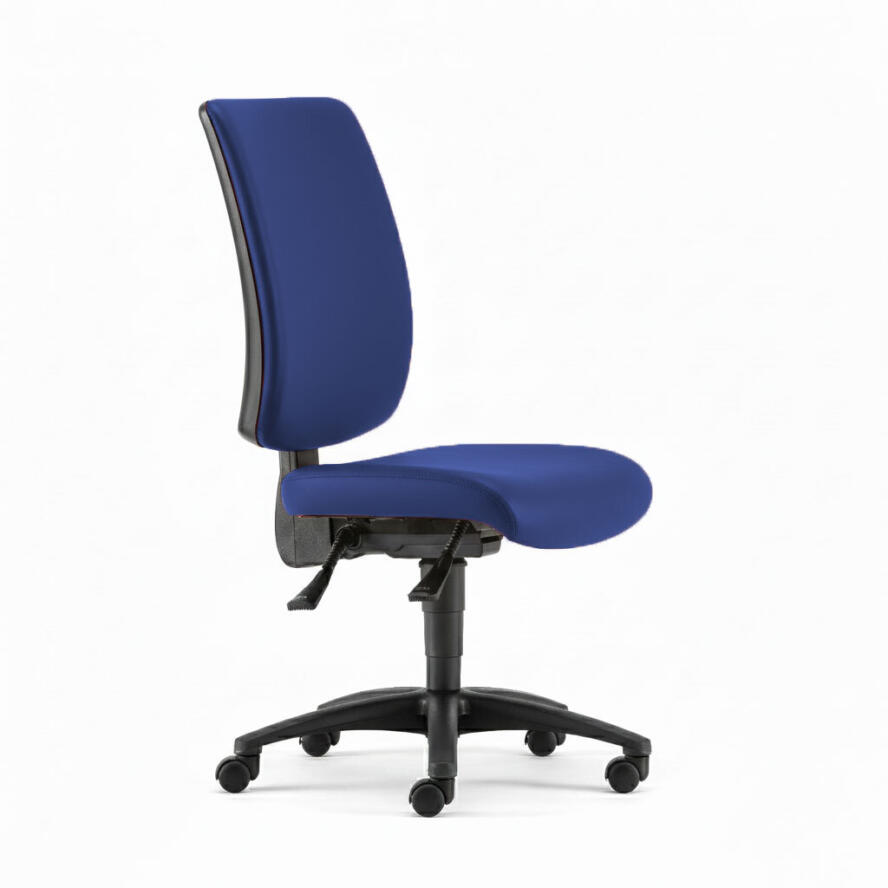 Ergonomic Backcare Chair