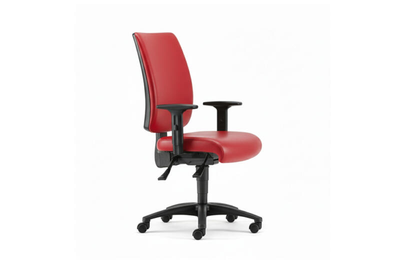 Ergonomic Backcare Chair